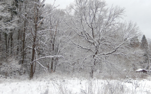 776937 (a): :2560x1600
